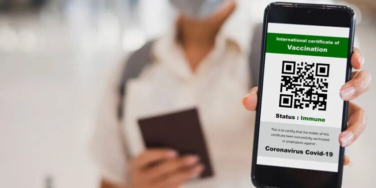 Pass vaccinal : Un service SMS pour contourner les problèmes sur Evax