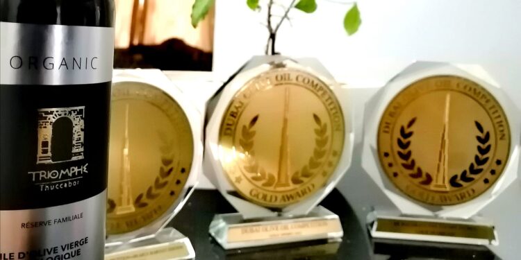 Tunisie : L’huile d’olive biologique "Thuccabor" médaillée d’or en Italie