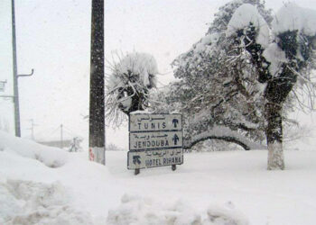Tunisie : Chutes de neige dans quatre gouvernorats