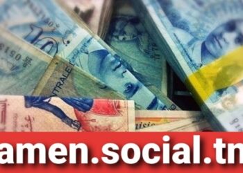 Le minist&egrave;re des Affaires sociales met en garde contre une fausse plateforme