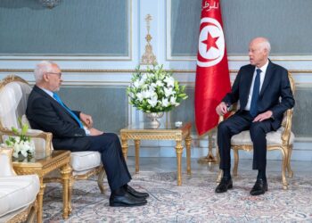 "Kais Saied s&rsquo;est oppos&eacute; &agrave; l&rsquo;assignation &agrave; r&eacute;sidence de Ghannouchi", pr&eacute;tend Mekki