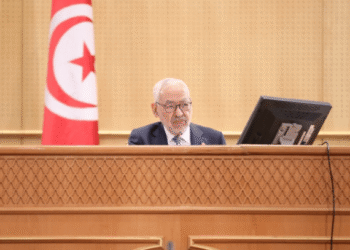 Tunisie : Demain, pl&eacute;ni&egrave;re &agrave; distance pour c&eacute;l&eacute;brer l'anniversaire de la Constitution !