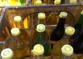 Tunisie : 3390 tonnes d'huiles v&eacute;g&eacute;tales distribu&eacute;es aux unit&eacute;s de conditionnement
