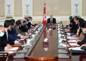 Tunisie : Le pr&eacute;sident de la R&eacute;publique pr&eacute;sente les chiffres pr&eacute;liminaires de la consultation nationale