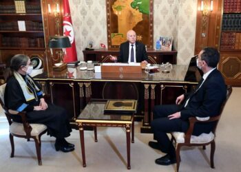 Saied veut mettre un terme &agrave; la spoliation des domaines de l&rsquo;Etat