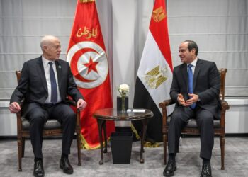 Quand Kais Saied rencontre son "mentor" &eacute;gyptien