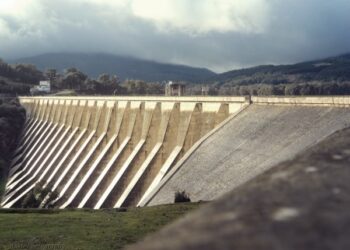 A Siliana, le spectre du stress hydrique plane sur le secteur agricole