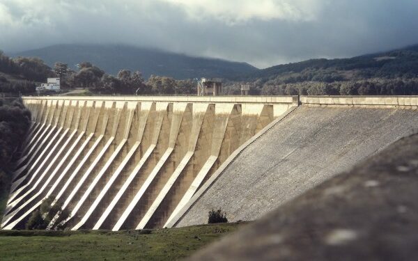 A Siliana, le spectre du stress hydrique plane sur le secteur agricole