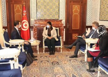 La ministre des Finances re&ccedil;oit le nouveau repr&eacute;sentant du FMI en Tunisie