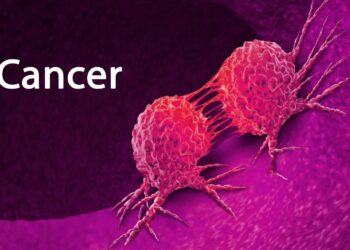 Vingt mille nouveaux cas de cancer d&eacute;tect&eacute;s chaque ann&eacute;e en Tunisie