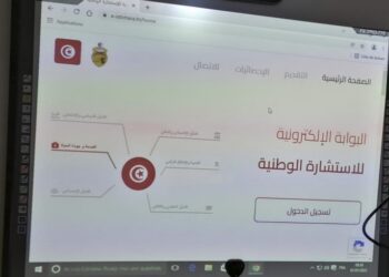 Consultation nationale num&eacute;rique : Le fiasco ?