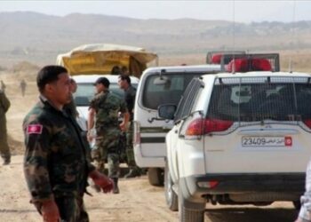 Tunisie : 144 op&eacute;rations de contrebande d&eacute;jou&eacute;es en 6 jours