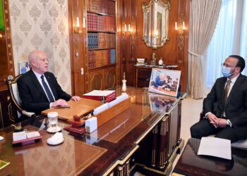 Consultation nationale : Kais Saied insinue des actes de sabotage