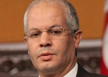 Imed Hammami : "Il n'y a plus d'horizon politique pour Ennahdha et Ghannouchi"