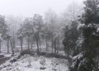 Chutes de neige : L'ouest tunisien tout de blanc v&ecirc;tu !