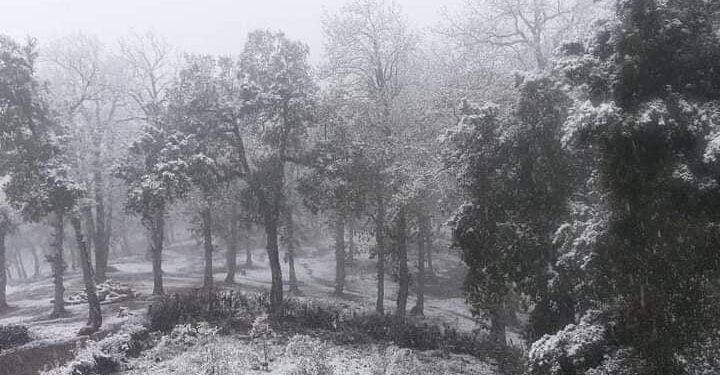 Chutes de neige : L'ouest tunisien tout de blanc v&ecirc;tu !