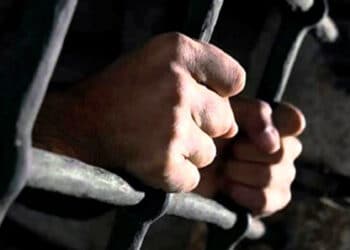 Plus de 1110 Tunisiens d&eacute;tenus dans les prisons fran&ccedil;aises