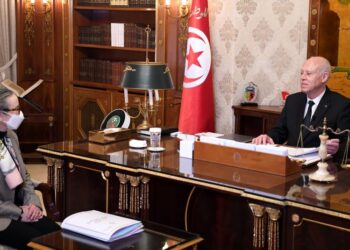 Sa&iuml;ed : "Nous avons expliqu&eacute; aux dirigeants du monde, la v&eacute;rit&eacute; de la situation en Tunisie"