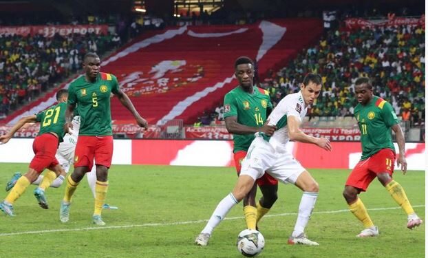 CM 2022 : L'Algérie veut faire rejouer son match contre le Cameroun