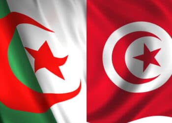 Recherche scientifique : Signature de plusieurs accords entre la Tunisie et l'Alg&eacute;rie