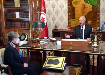 Kais Saied lance l'op&eacute;ration d'assainissement de la Tunisie contre les sp&eacute;culateurs