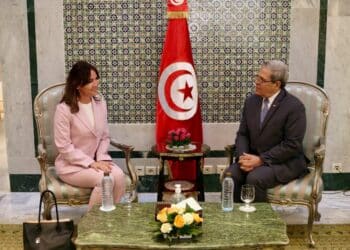 Le Conseil de l'Europe dispos&eacute; &agrave; soutenir la Tunisie dans son processus politique
