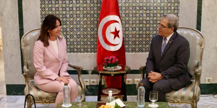Le Conseil de l'Europe disposé à soutenir la Tunisie dans son processus politique