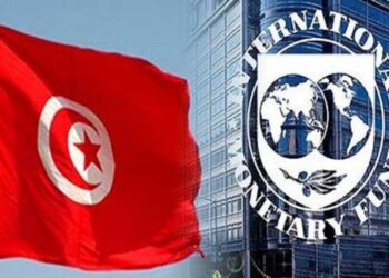Sihem Boughdiri : "Les &eacute;quilibres budg&eacute;taires assujettis &agrave; un accord avec le FMI"