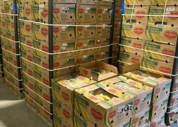 Ben Arous : Saisie d&rsquo;une quantit&eacute; de banane d'une valeur de plus de 2 MD