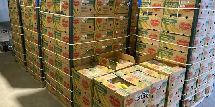 Ben Arous : Saisie d’une quantité de banane d'une valeur de plus de 2 MD