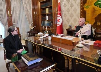 Tunisie : Sp&eacute;culation et consultation nationale au coeur des priorit&eacute;s de Kais Saied
