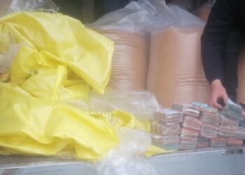 Nabeul : Saisie de 117 mille dinars dissimul&eacute;s dans des sacs de s&eacute;same