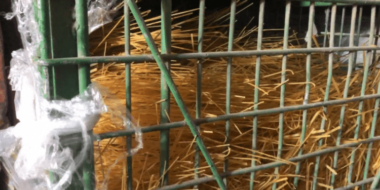 Sp&eacute;culation : Un groupement de p&acirc;tes victime de dommages collat&eacute;raux ?