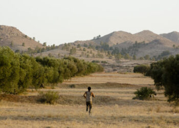Cannes 2022 - Le film tunisien "Harka" en compétition dans la section Un Certain Regard