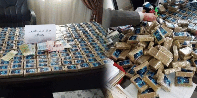 Msaken : 20 kg de cannabis saisis chez un agent sécuritaire