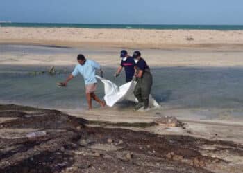 Sfax : Neuf corps de migrants irr&eacute;guliers rep&ecirc;ch&eacute;s