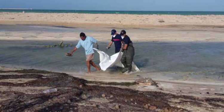 Sfax : Neuf corps de migrants irr&eacute;guliers rep&ecirc;ch&eacute;s