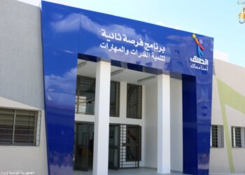 La France appuie la Tunisie pour la formation des jeunes déscolarisés