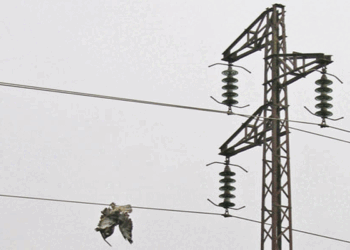 Demain, coupure d'&eacute;lectricit&eacute; dans plusieurs zones de Sousse et Monastir