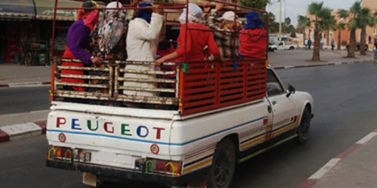 Tunisie : Un d&eacute;cret pr&eacute;sidentiel pour r&eacute;gir le transport des travailleurs agricoles