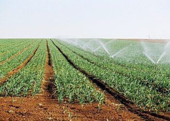 Tunisie : Pr&egrave;s de 138 MD d&rsquo;investissements en 2022