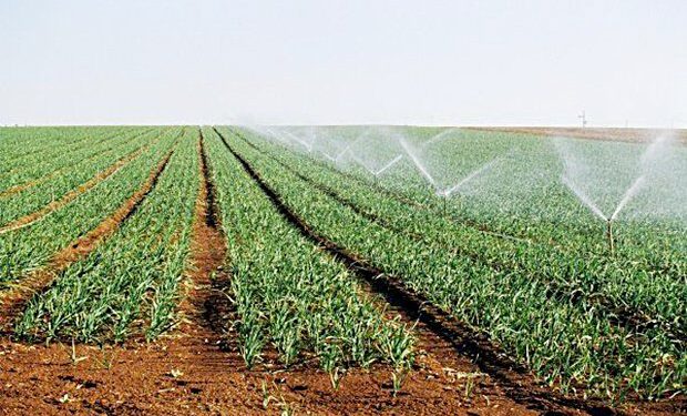 Tunisie : Près de 138 MD d’investissements en 2022
