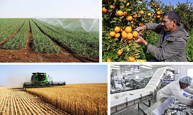 Tunisie : 200 millions d'euros de cr&eacute;dits et dons italiens pour le secteur agricole