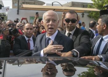 Tunisie : Sondages, l'insolente domination de Kais Saied