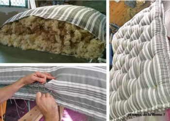 Caldi, fèves grillées et frigolo