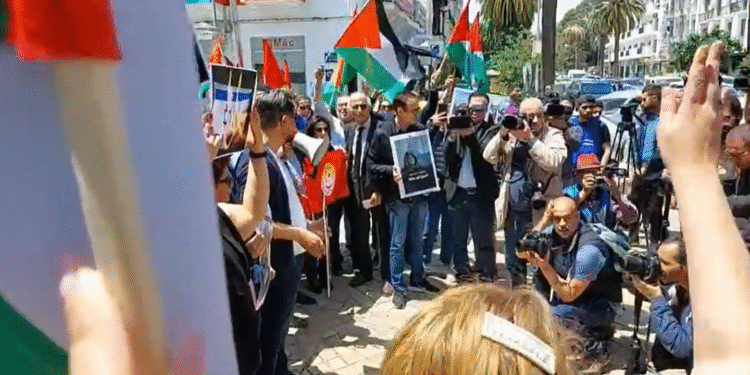 SNJT : Rassemblement suite à l'assassinat de Cherine Abou Akla