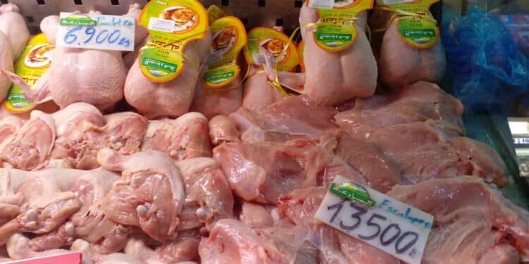 Hausse des prix : L'ODC appelle au boycott de la viande de volaille