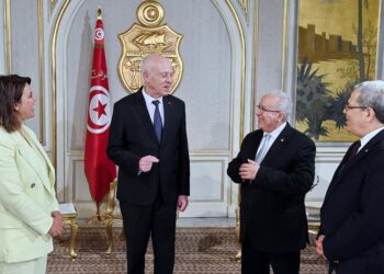 "Les relations tuniso-algériennes au beau fixe", rassure Ramtane Lamamra
