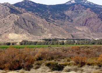 Tunisie : Mandat de dépôt contre une personne en lien avec les terroristes du Mont Salloum