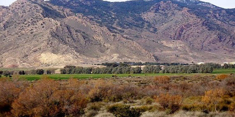 Tunisie : Mandat de dépôt contre une personne en lien avec les terroristes du Mont Salloum